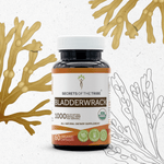 Bladderwrack Capsules