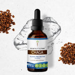Chaga Tincture