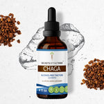 Chaga Tincture