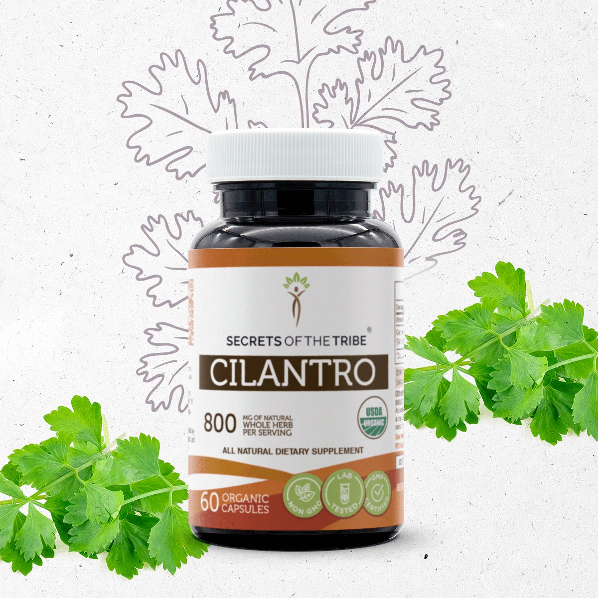 Cilantro Capsules