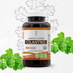 Cilantro Capsules