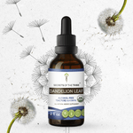 Dandelion Leaf Tincture