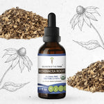 Echinacea Root Tincture