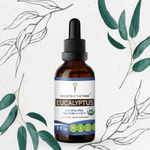 Eucalyptus Tincture