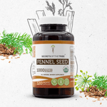 Fennel Seed Capsules