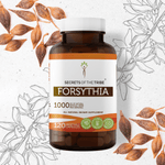 Forsythia Capsules