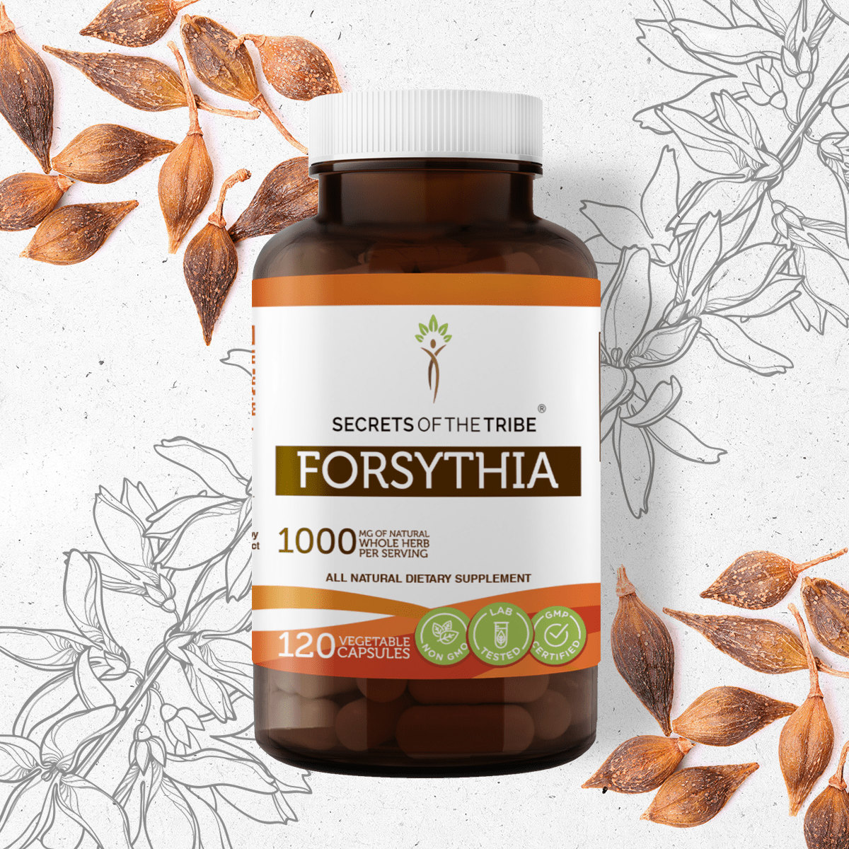 Forsythia Capsules