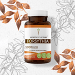 Forsythia Capsules