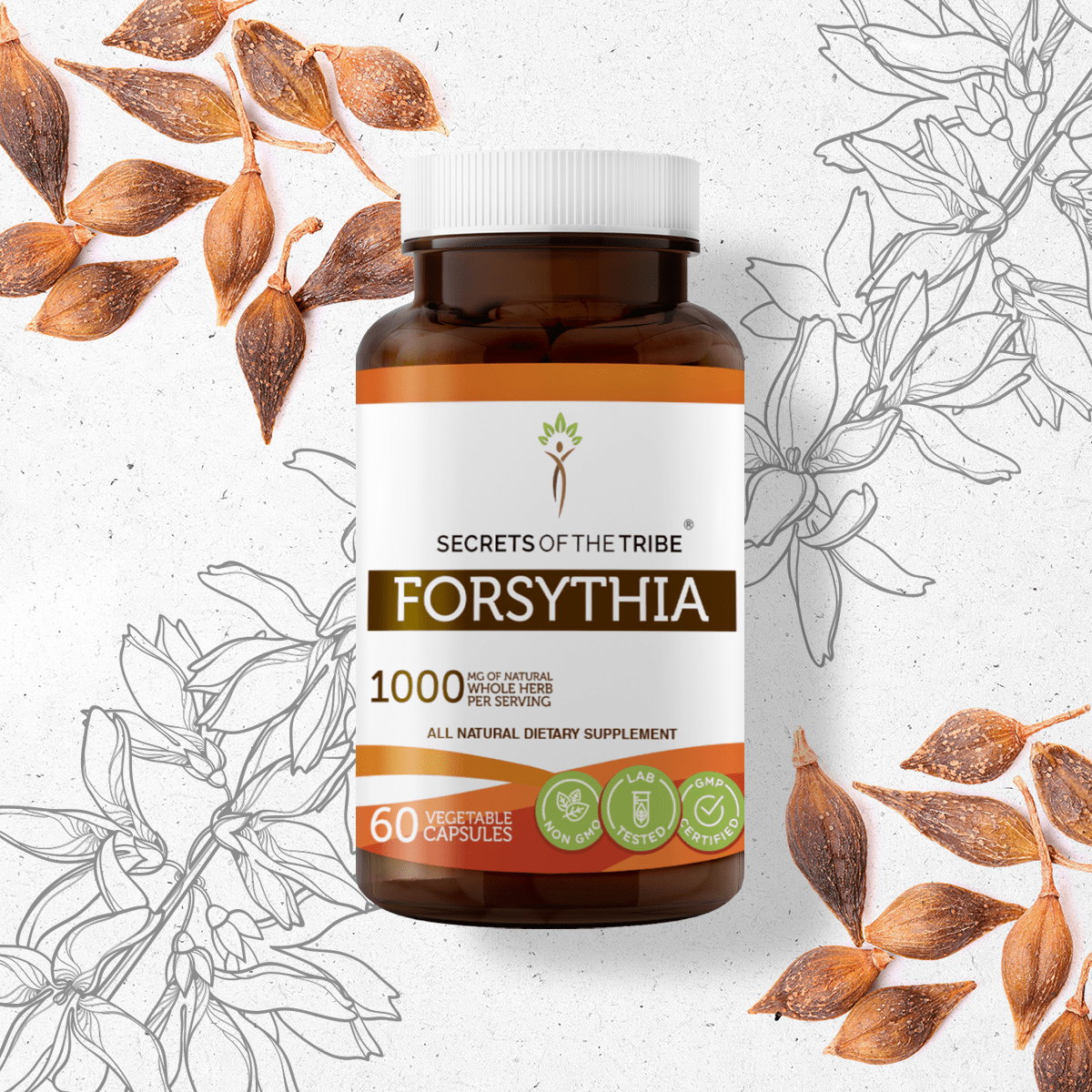 Forsythia Capsules