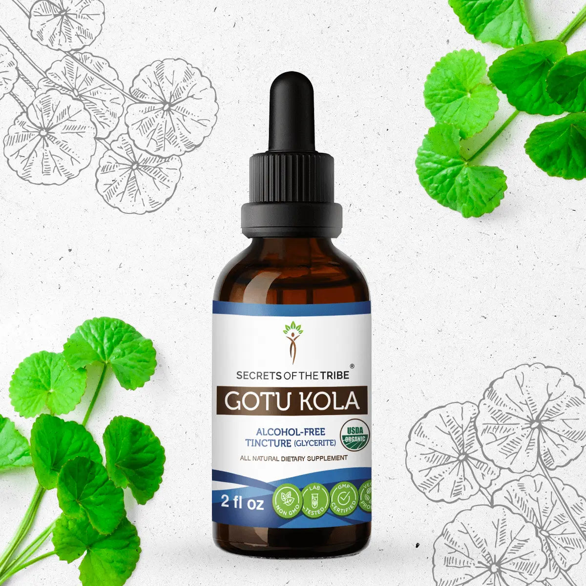 Gotu Kola Tincture