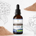 Hydrangea Tincture