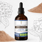 Hydrangea Tincture