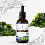 Kelp Tincture