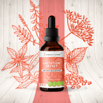 Lactation Secret - Mother's Milk Support