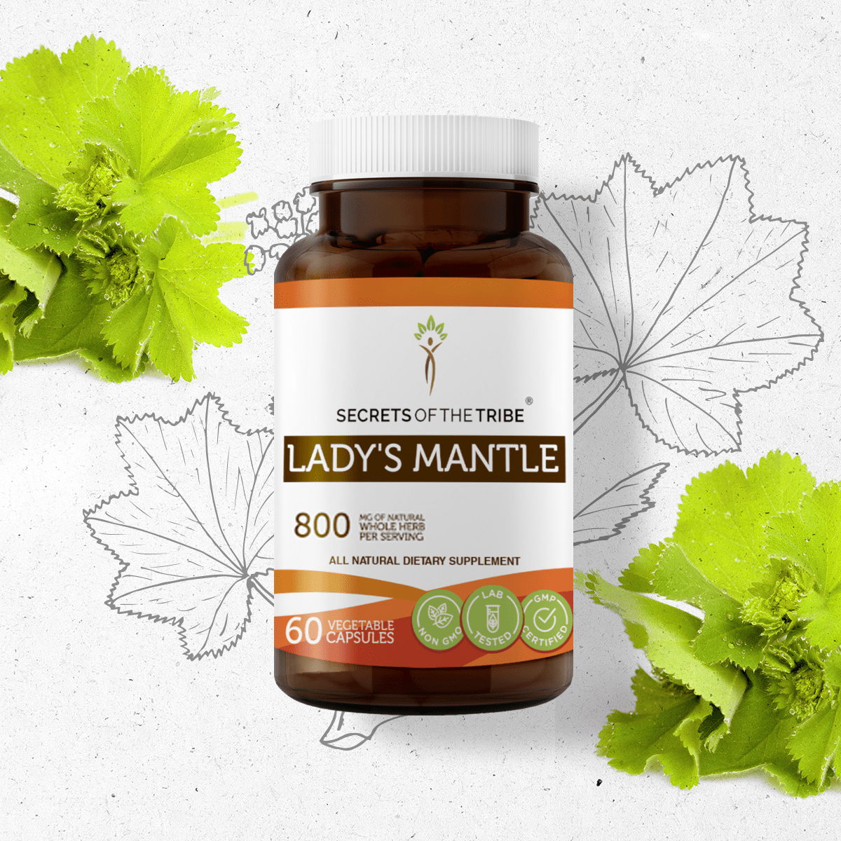Lady's Mantle Capsules