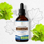 Lady's Mantle Tincture