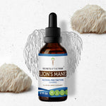 Lion's Mane Tincture