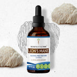 Lion's Mane Tincture