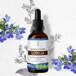 Lobelia Tincture