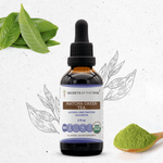 Matcha Green Tea Tincture