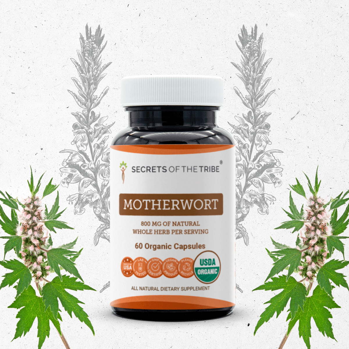 Motherwort Capsules