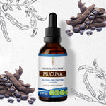 Mucuna Tincture