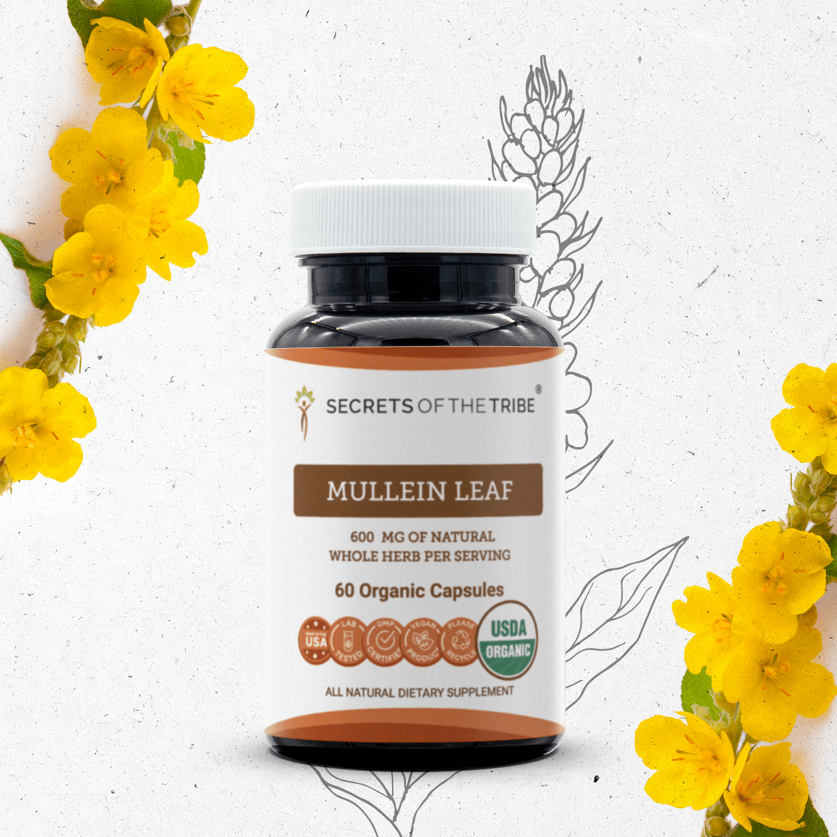 Mullein Leaf Capsules