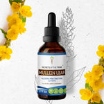 Mullein Leaf Tincture