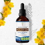 Mullein Leaf Tincture