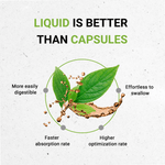 Mullein Leaf Tincture