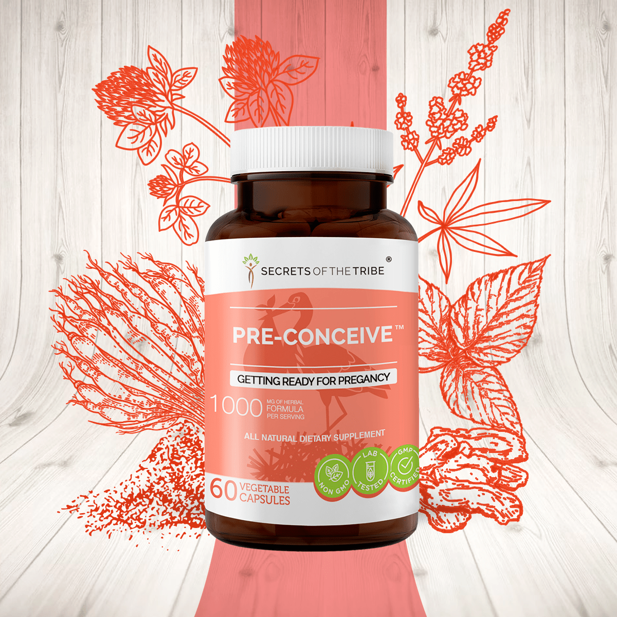 Pre-Conceive Capsules - Getting ready for Pregnancy