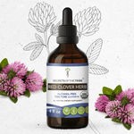 Red Clover Herb Tincture