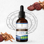 Reishi Tincture