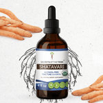 Shatavari Tincture