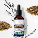 Sheep Sorrel Tincture