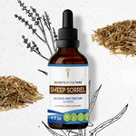 Sheep Sorrel Tincture