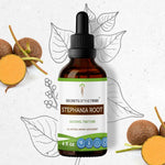 Stephania Root Tincture