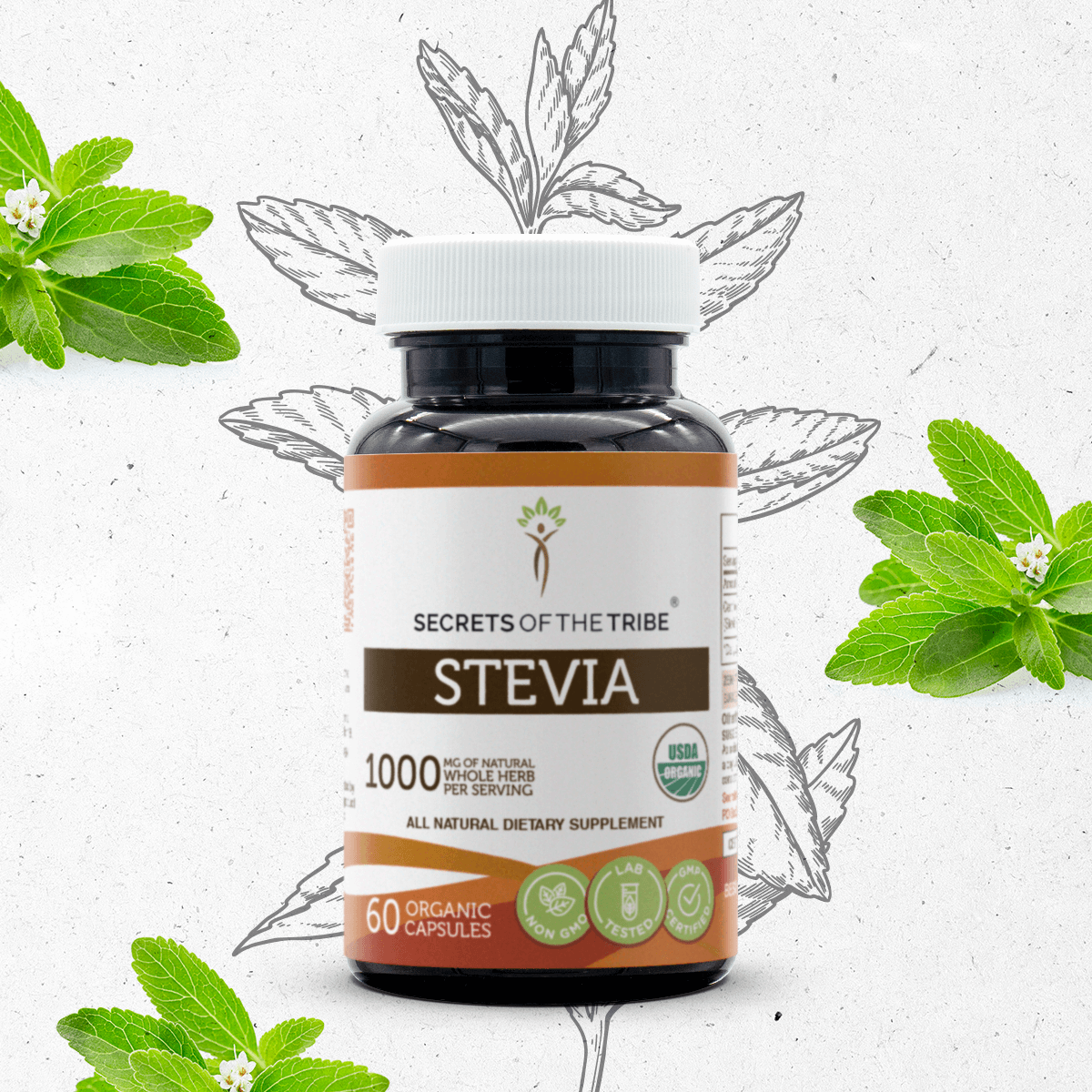 Stevia Capsules