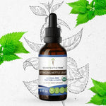 Stinging Nettle Leaf Tincture