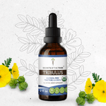 Tribulus Tincture