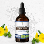 Tribulus Tincture