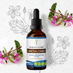 Umckaloabo Tincture