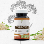 Yarrow Capsules