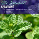 Spearmint Tooth Powder with Noni & 5% Hydroxyapatite
