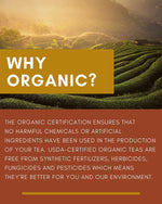 Green Rooibos Black Tea, Citrus Blend - Organic & Kosher