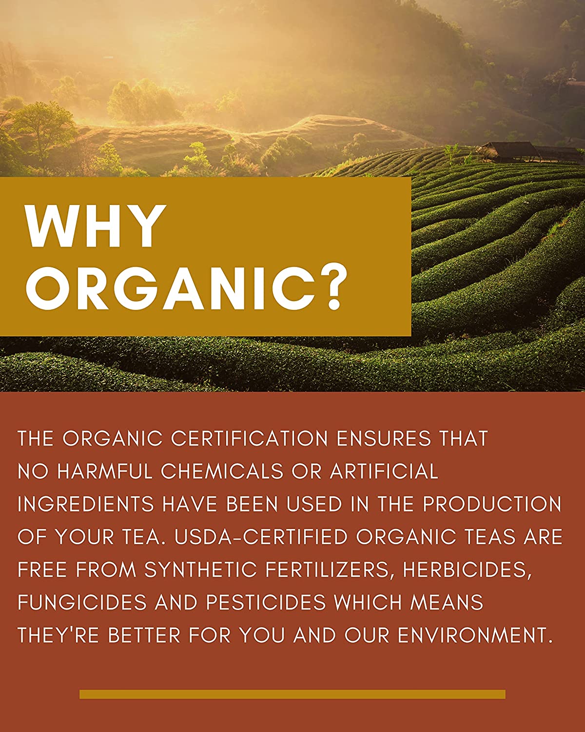 Green Rooibos Black Tea, Citrus Blend - Organic & Kosher