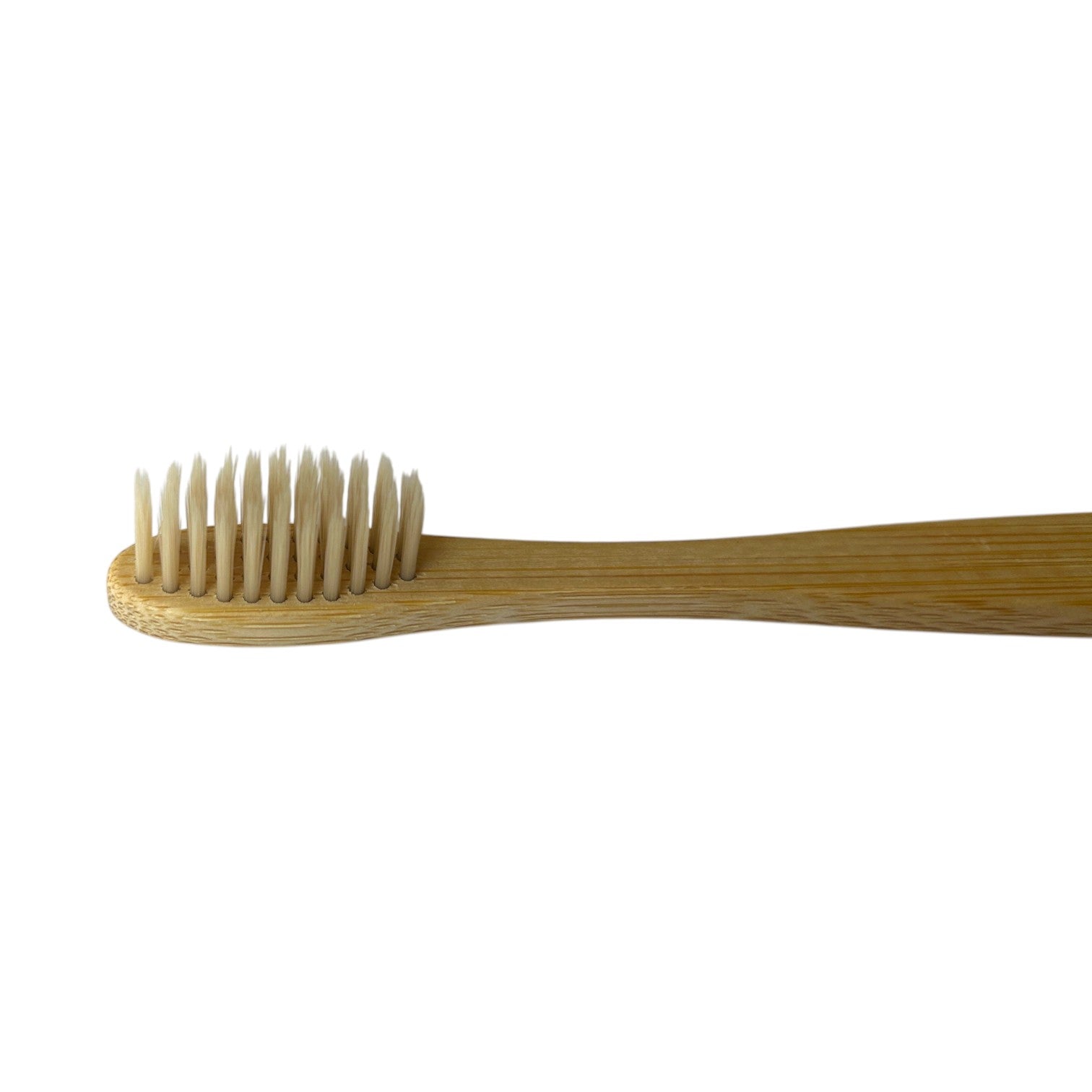 Toothbrush | Bamboo Handle