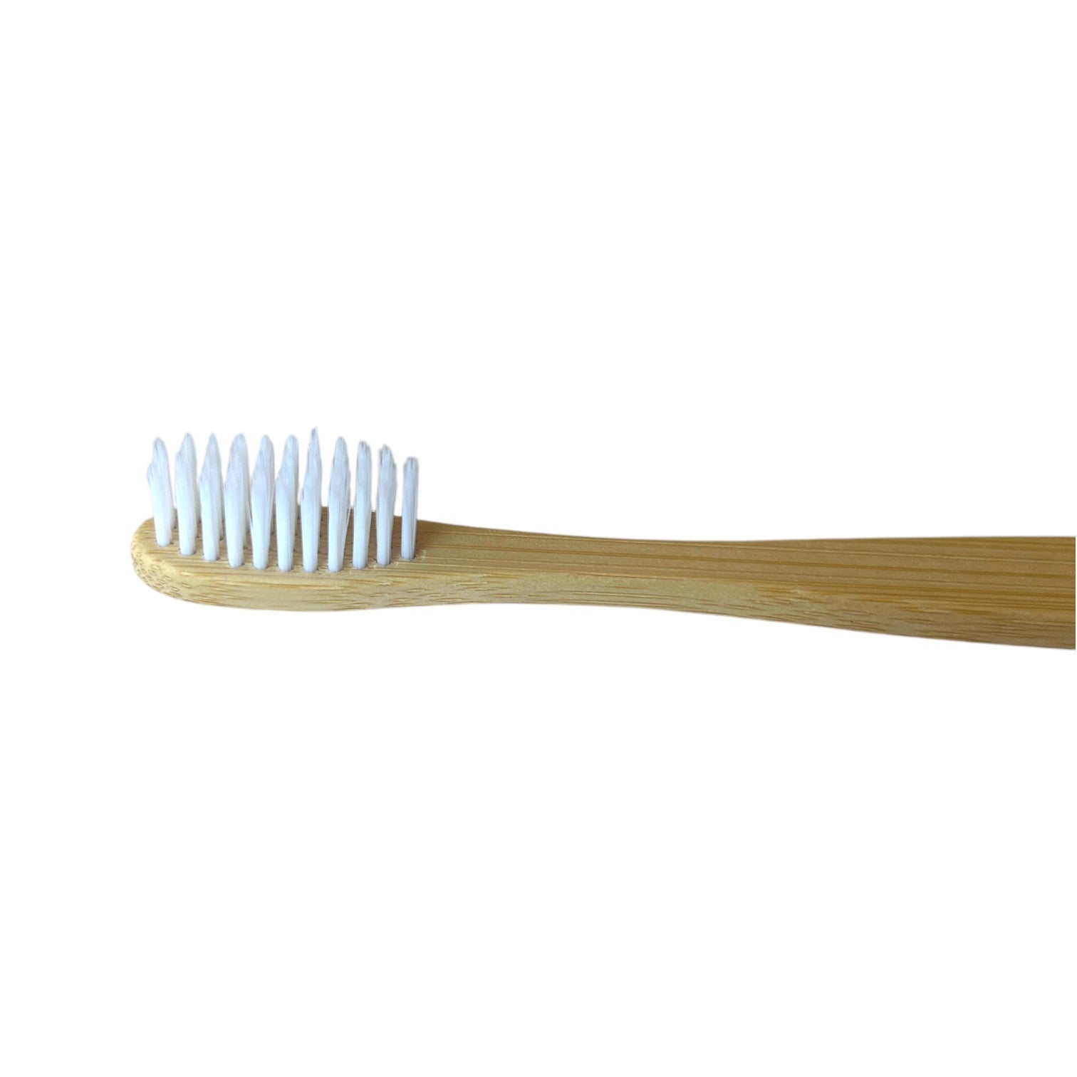 Toothbrush | Bamboo Handle