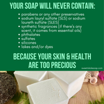 Solid Dish Soap Bar Non-Toxic, Unscented, Plastic-Free Dishwashing